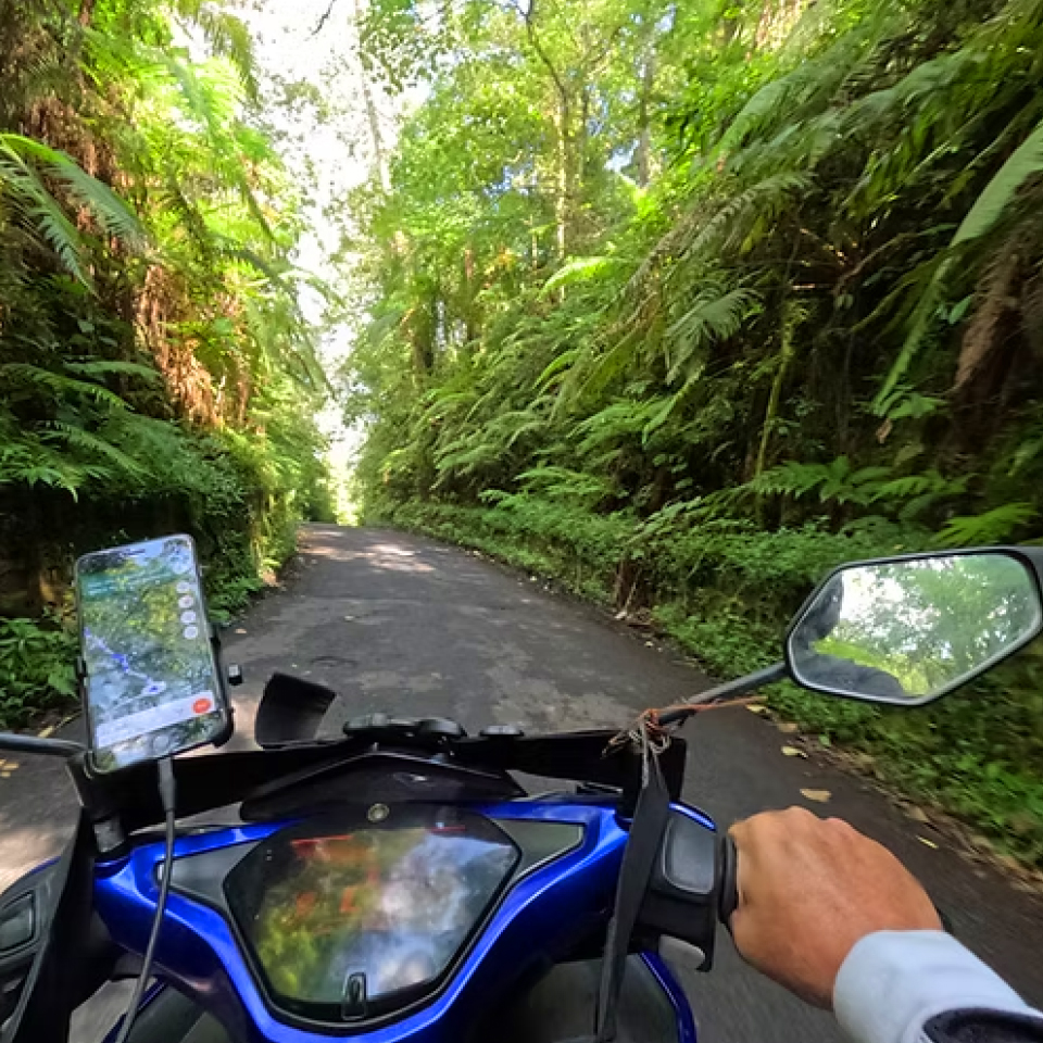 A view from the handlebars of a blue scooter, with a smartphone mounted displaying a map, cruising down a narrow, tree-lined road surrounded by lush green vegetation in a tropical setting.