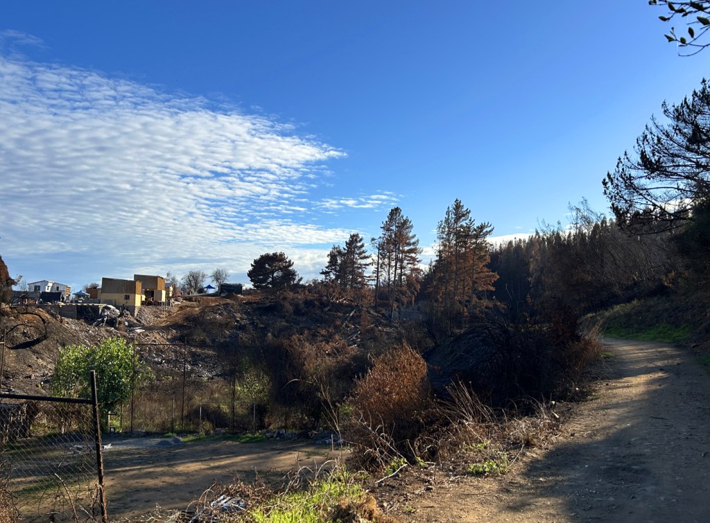 A scenic view of a dirt path leading through a landscape affected by recent wildfires, with remnants of burnt trees and new growth alongside some construction in the background under a blue sky.