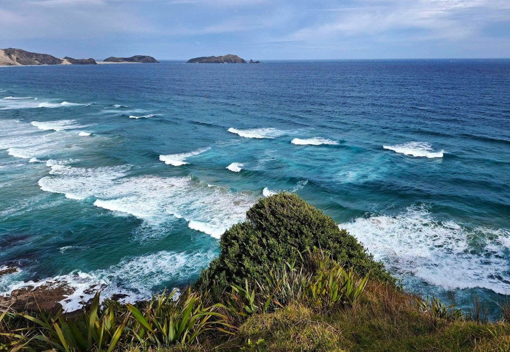 A panoramic view of the ocean with gentle waves, seen from a cliffside. The coastline is visible in the distance, surrounded by lush green vegetation.