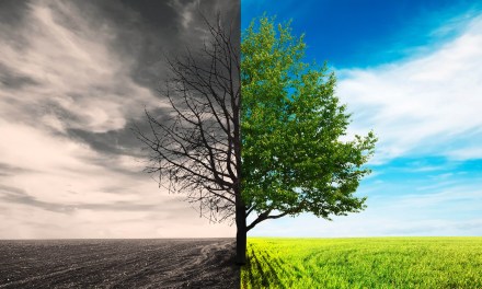 For Everything, God’s Season
