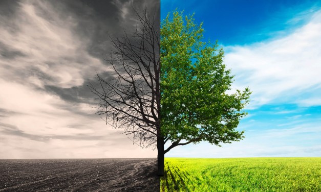 For Everything, God’s Season
